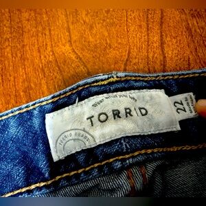 Torrid straight leg plus size (22)